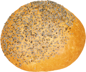 Bun PNG image-13769